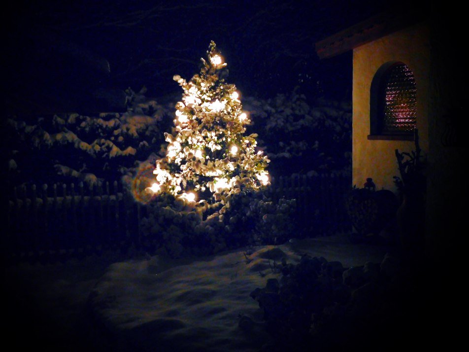 Frohe Weihnachten Frohe Weihnachten