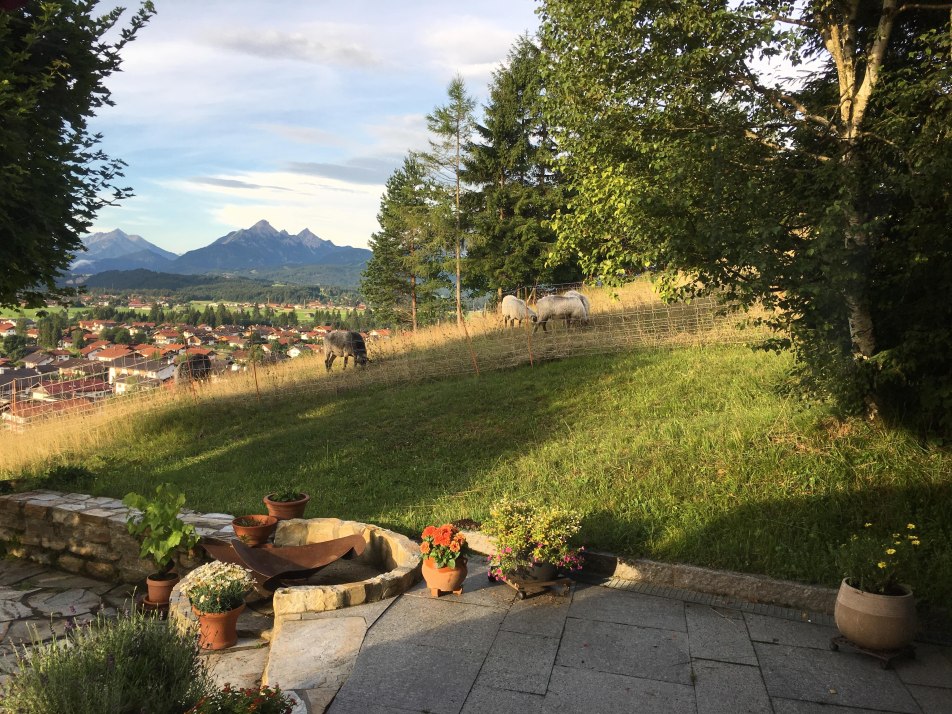 Lichtblick