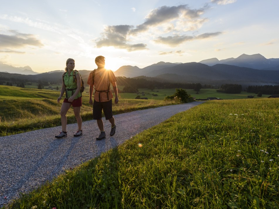 Buckelwiesen Abendstimmung, © Alpenwelt Karwendel |Wolfgang Ehn