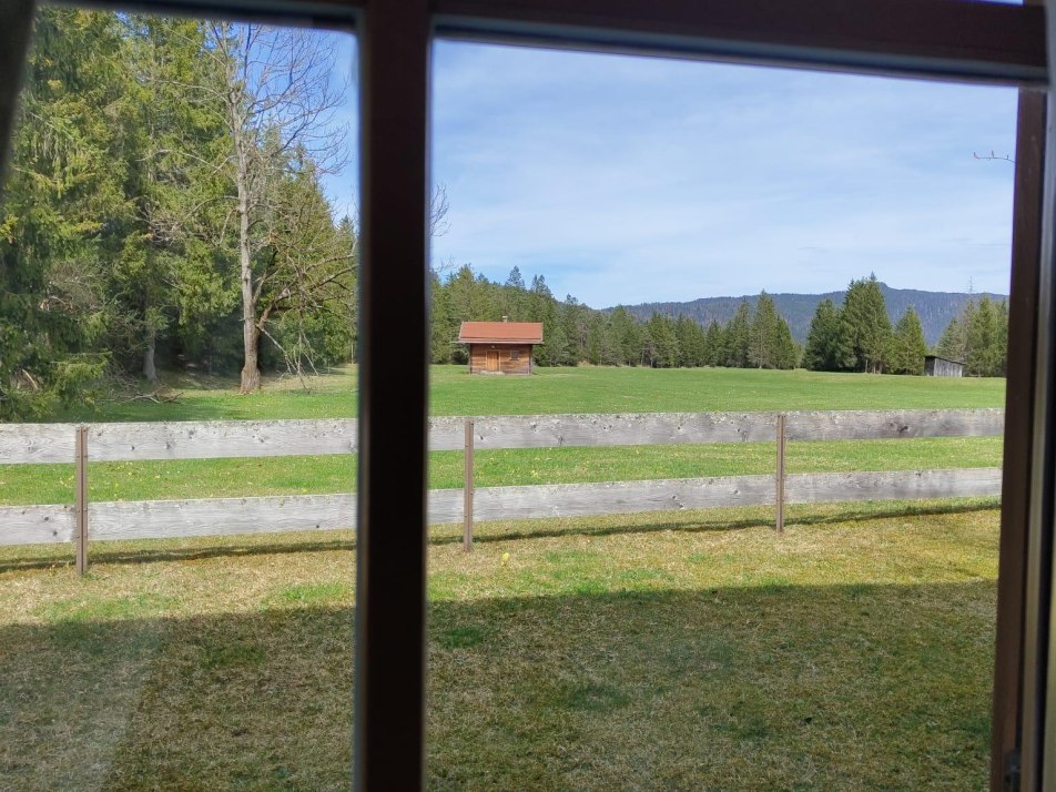 Blick vom Küchenfenster