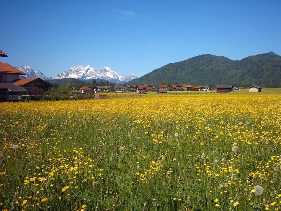 Gästehaus Birkengarten Krün   Blick vom Balkon