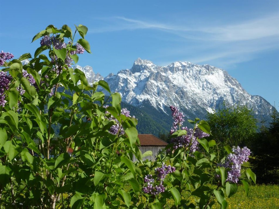 Blick zum Karwendel