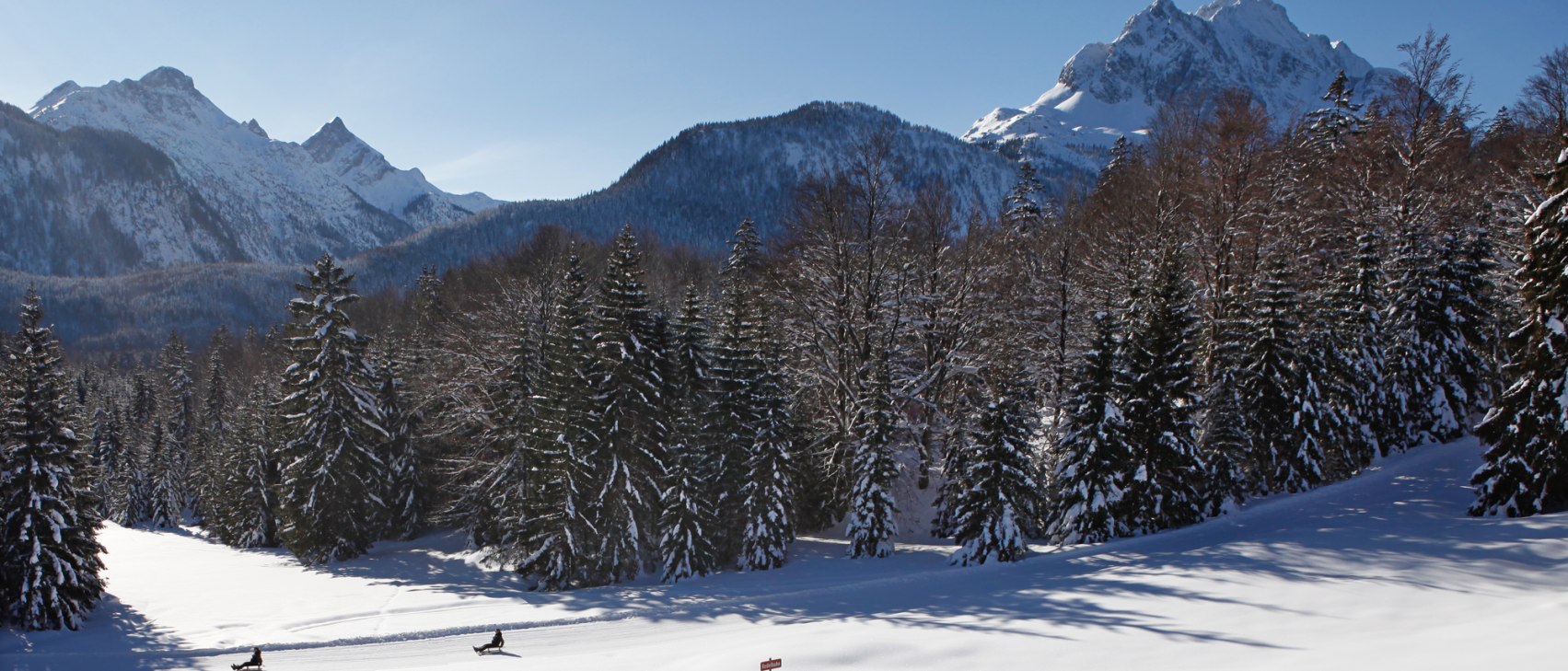 Naturrodelbahn Kranzberg, © Alpenwelt Karwendel | Rudolf Pohmann