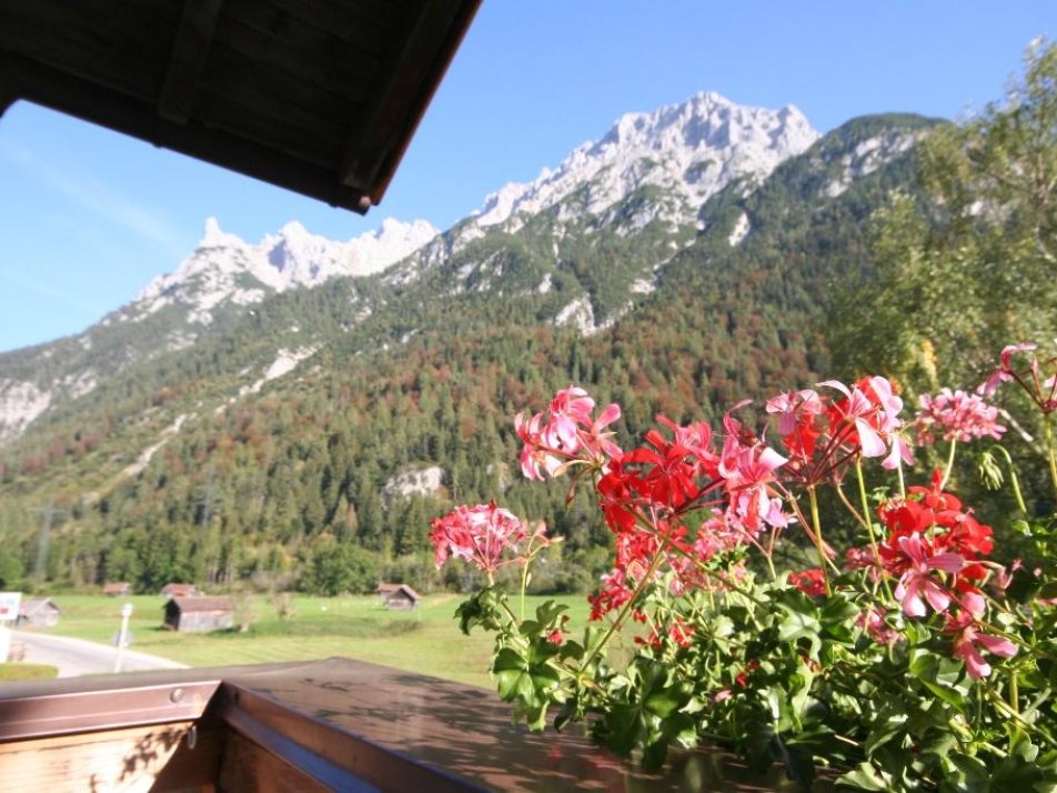 Aussicht Wohnung Edelweiß