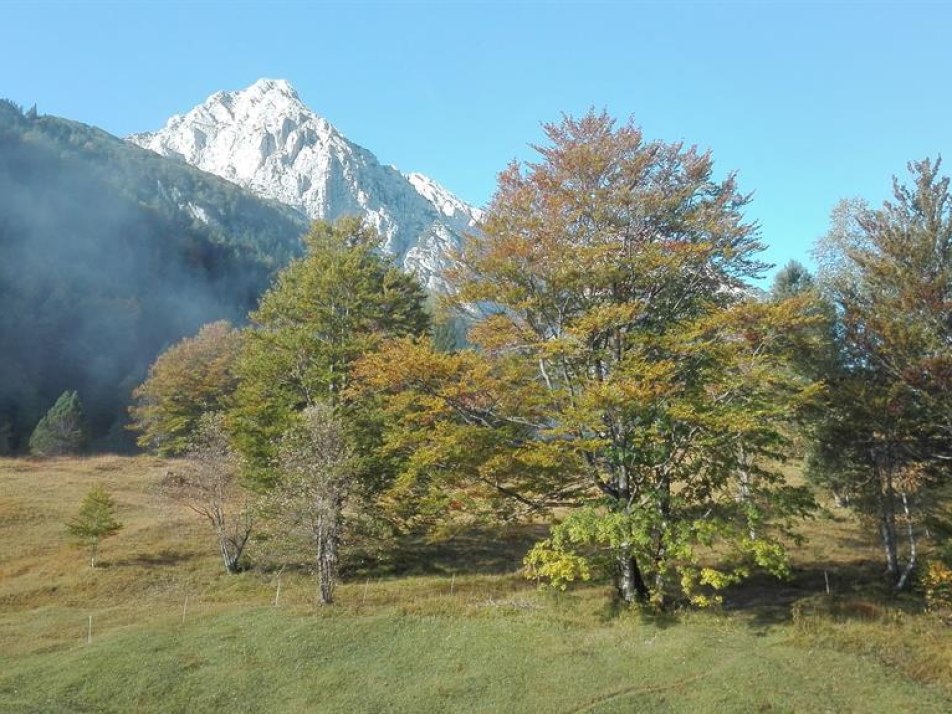 Wetterstein spitzt hervor