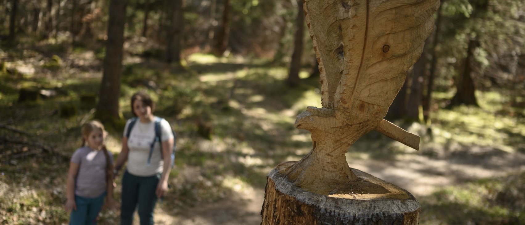 Auf dem Walderlebnispfad am Lautersee bei Mittenwald, © Alpenwelt Karwendel | Philipp Gülland, PHILIPP GUELLAND Auf dem Walderlebnispfad am Lautersee bei Mittenwald, © Alpenwelt Karwendel | Philipp Gülland, PHILIPP GUELLAND