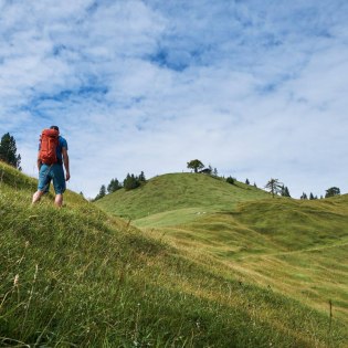 The Buckelwisen at the Kranzberg hill at Mitenwald - Hiking in the Alpenwelt Karwendel, © Alpenwelt Karwendel | Anton Brey
