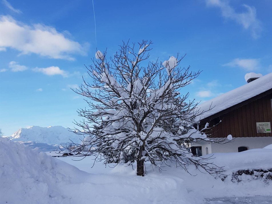 Ostseite des Hauses, großer Parkplatz vor dem Haus