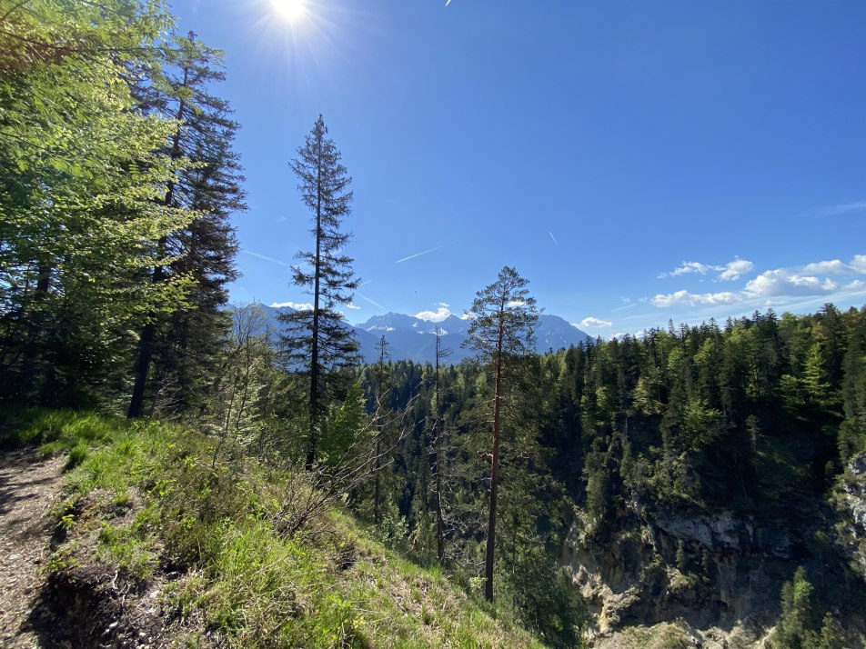 oberhalb der Finzklamm mit Karwendelblick