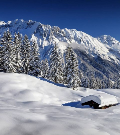 Verschneite Buckelwiesenlandschaft am Kranzberg in Mittenwald, © Alpenwelt Karwendel | Rudolf Pohmann