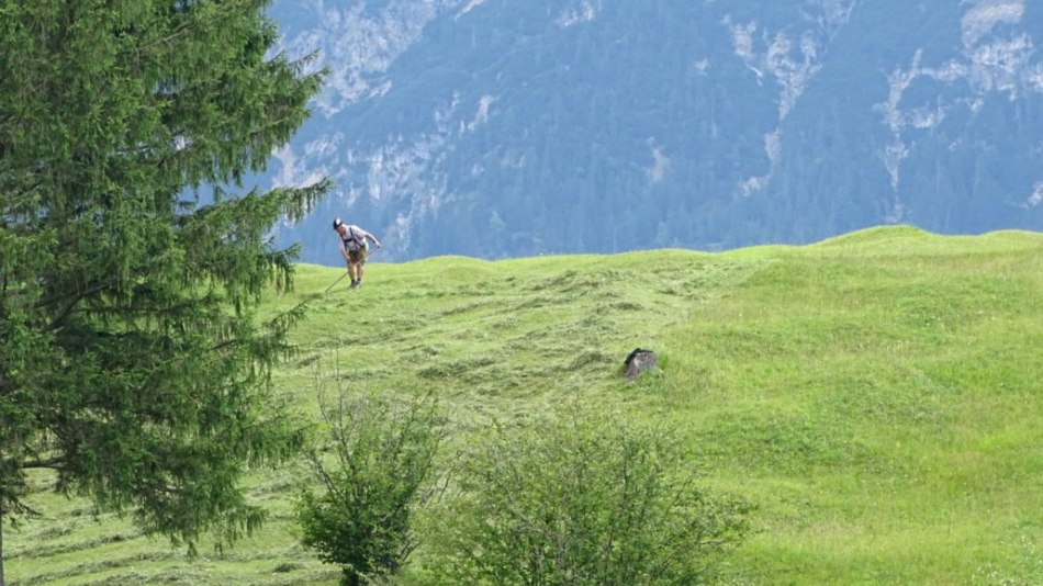 Manfred bei der Arbeit in den Buckelwiesen, © Alpenwelt Karwendel | Andrea Schmölzer