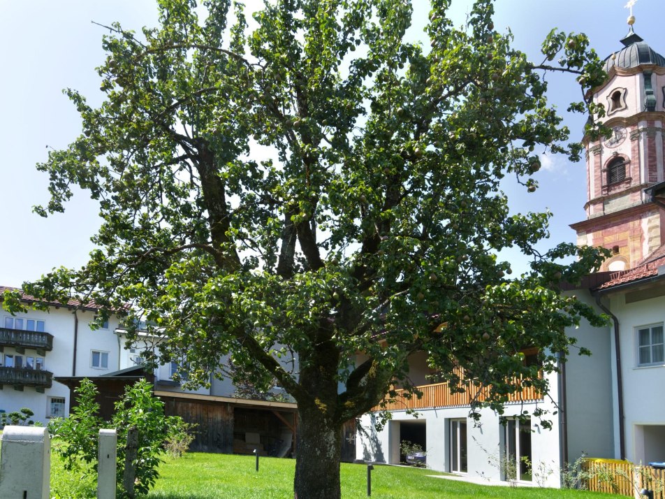 adl_garten_2