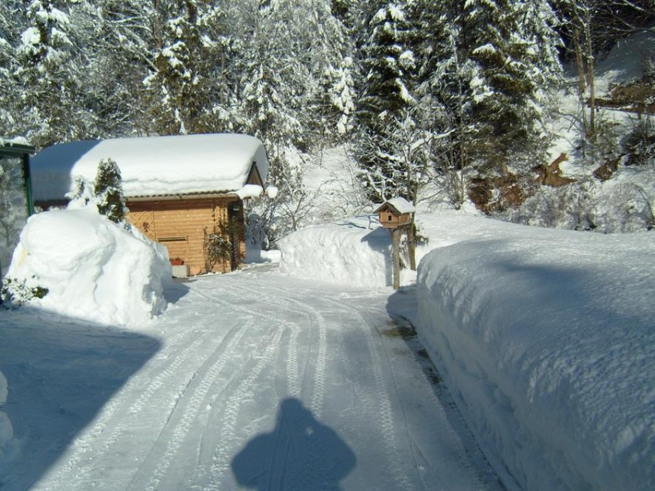 Winter wie wir ihn wünschen