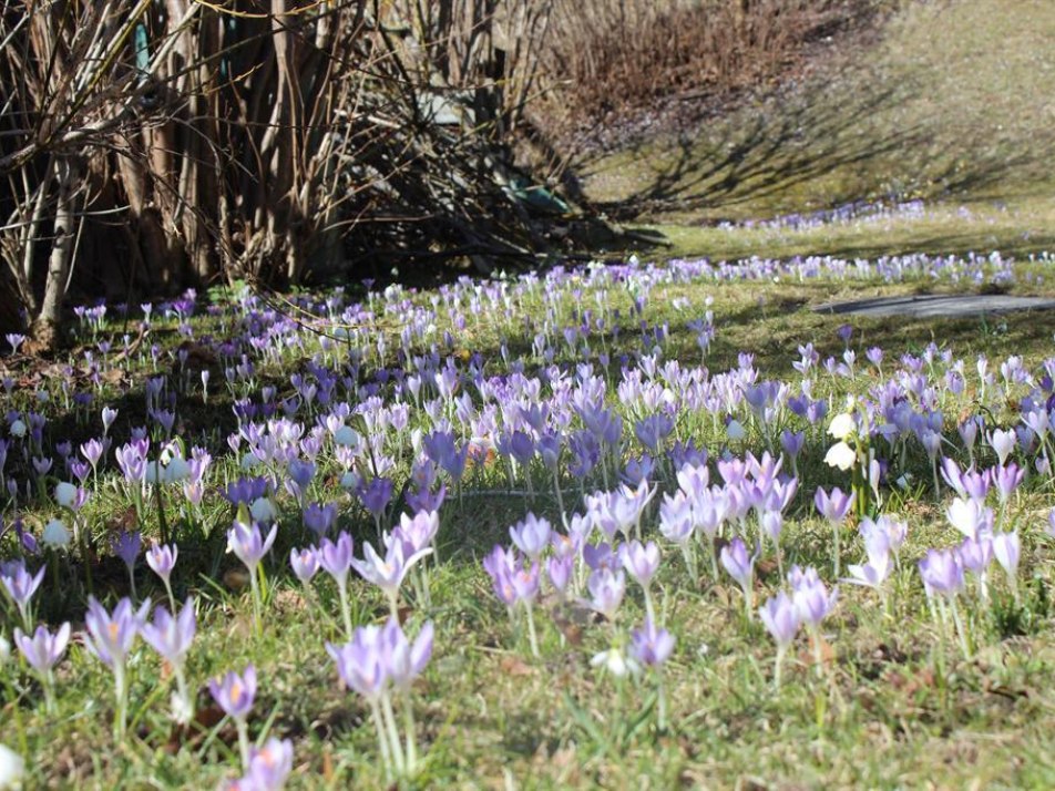 Frühling Gästehaus im Gries Krün, © Franz-Paul Reindl