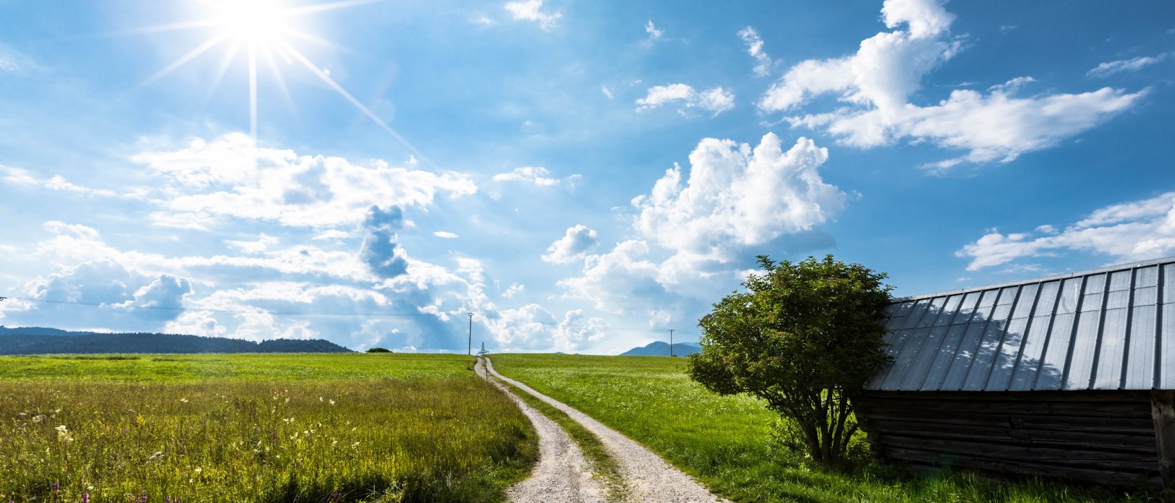 Buckelwiesen, © Alpenwelt Karwendel | Zugspitz Region GmbH | Erika Sprengler, Erika Spengler / ulligunde.com Buckelwiesen, © Alpenwelt Karwendel | Zugspitz Region GmbH | Erika Sprengler, Erika Spengler / ulligunde.com