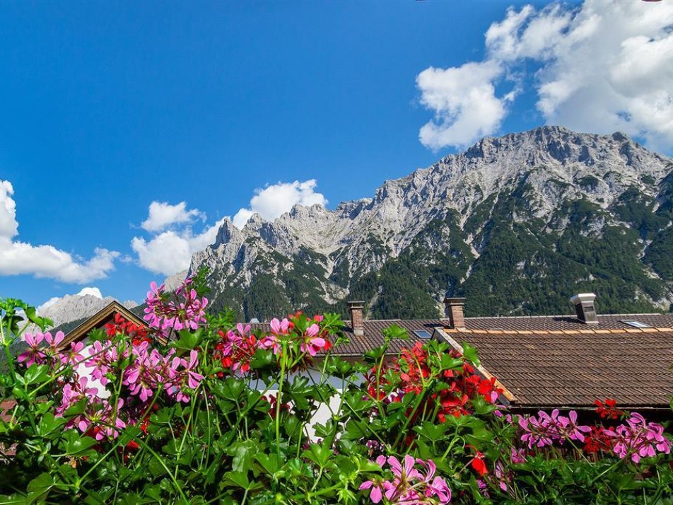 Ausblick Ferienwohnung Karwendelblick