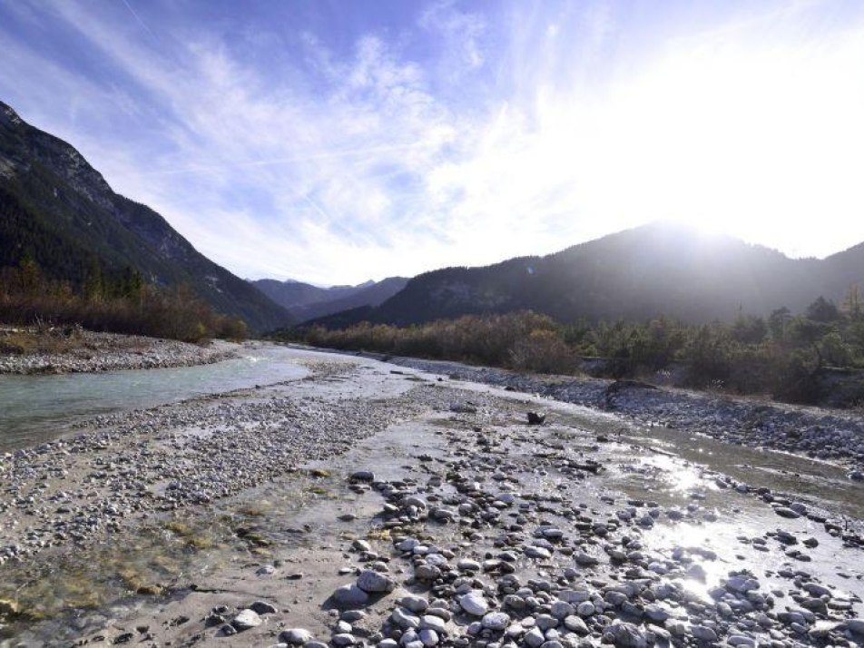 Naturschutztag Krün - Exkursio: Vögel an der Isar, © Alpenwelt Karwendel | Stefan Eisend