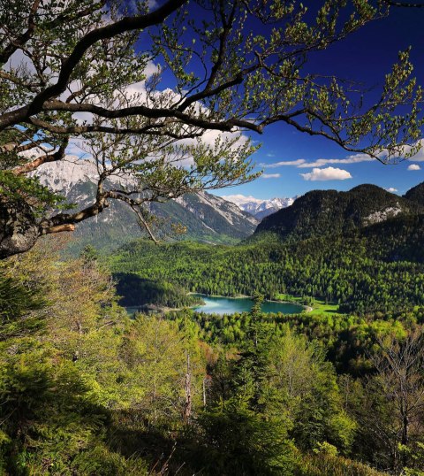 Bilck vom Kranzberg auf den Lautersee in Mittenwald, © Alpenwelt Karwendel | Rudolf Pohmann