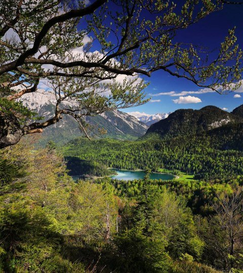 Bilck vom Kranzberg auf den Lautersee in Mittenwald, © Alpenwelt Karwendel | Rudolf Pohmann