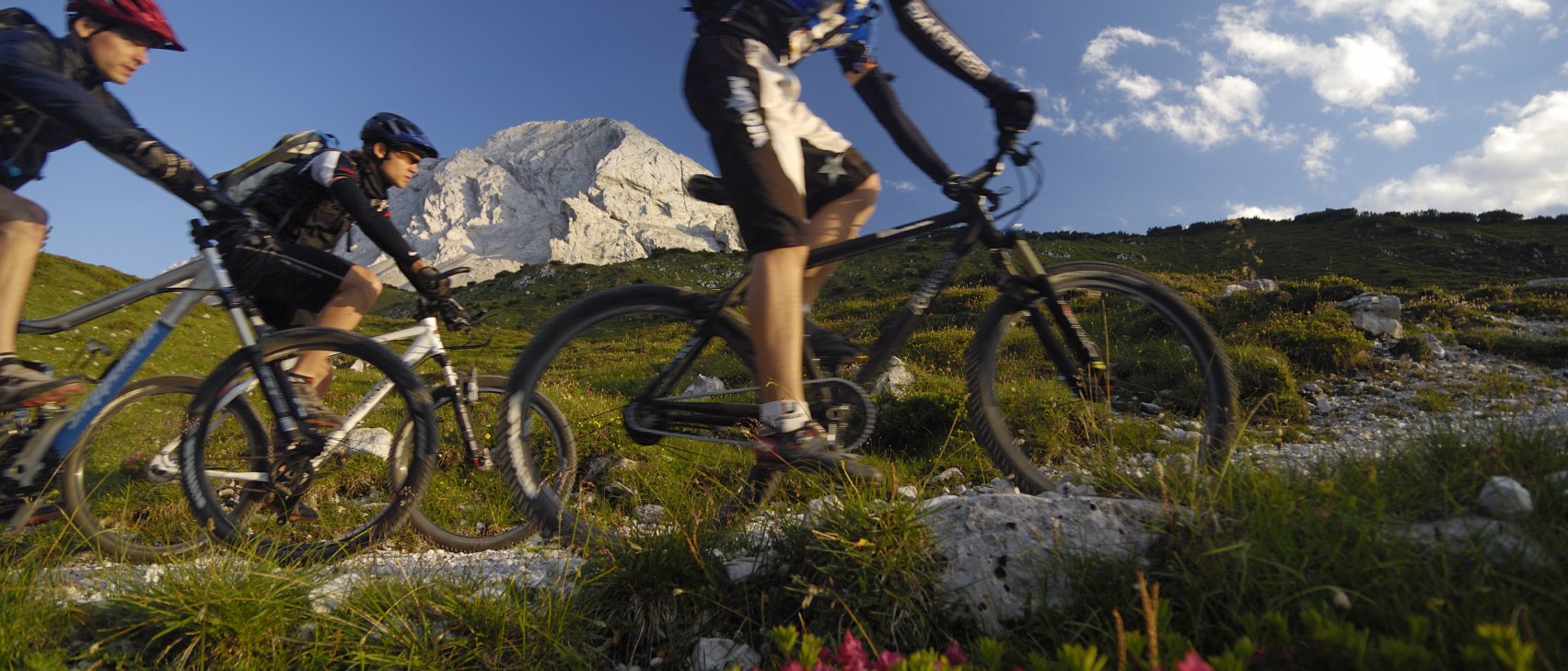 Mountainbiken neben Almrausch, © Alpenwelt Karwendel | Wolfgang Ehn