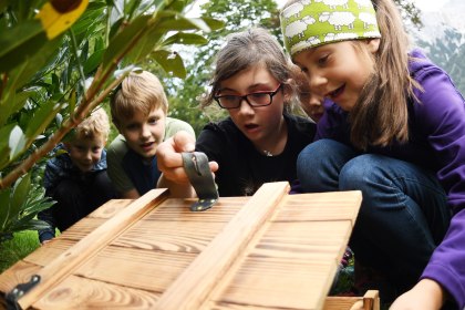 Die gefundene Schatztruhe beim Kinderprogramm "Schatzsuche", © Alpenwelt Karwendel | Angelika Warmuth