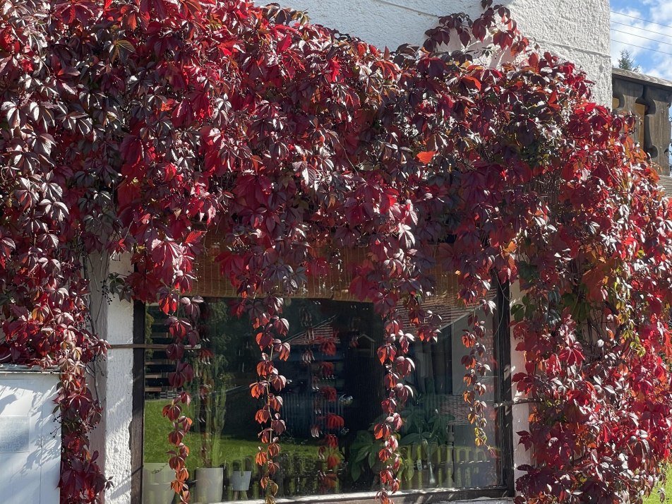 Herbststimmung