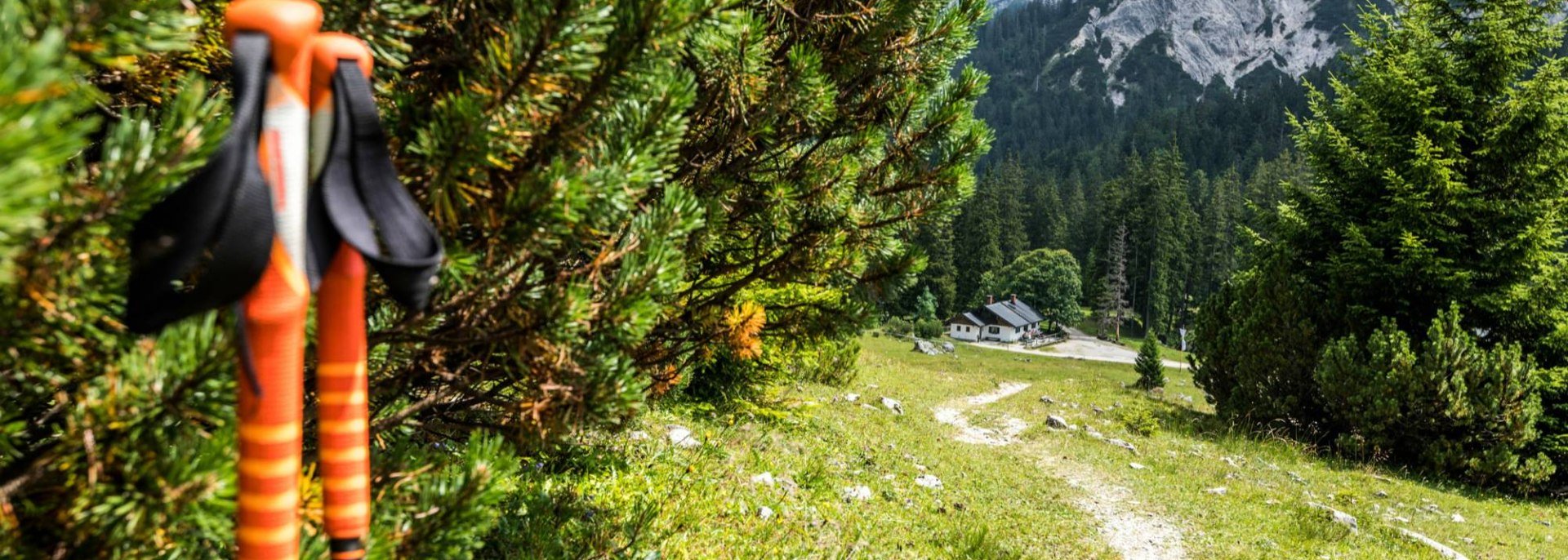 Finale Schritte zur Vereiner Alm, erreichbar von Krün und Mittenwald aus, © Zugspitz Region GmbH | Erika Sprengler