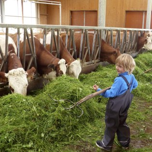 Stallzeit in den Bauernhöfen in Mittenwald, Krün und Wallgau, © Alpenwelt Karwendel | Sandra Hibler