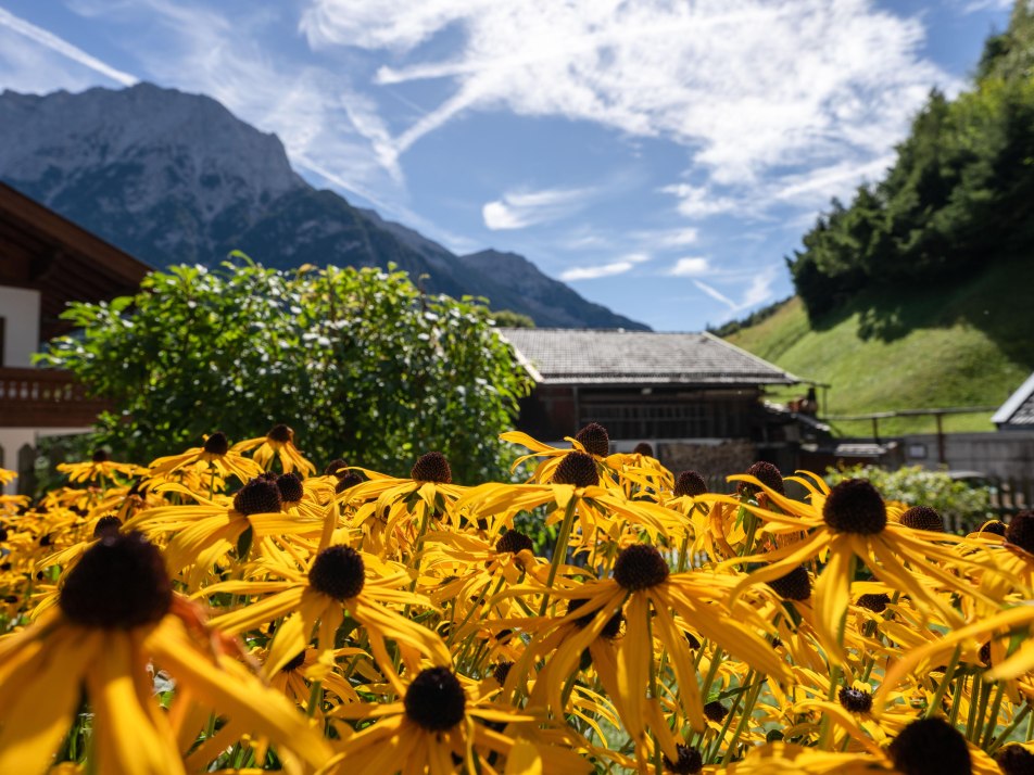 Hausbilder Alpenglanz (4)