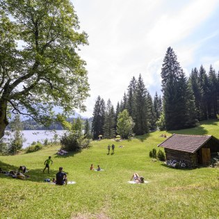 Liegewiese am Barmsee, © Alpenwelt Karwendel | Gregor Lengler