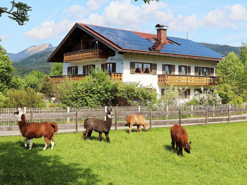 Hausansicht Südost mit Lamaweide, © Haus Alpenpanorama Rudolf Tomaschek