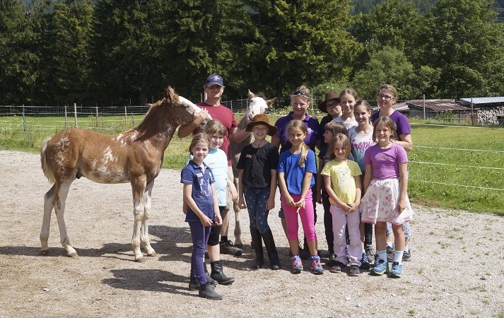 Kinder- und Allergikerfreundlich: Wallgauer „Curlys“, © Isarhof-Curlys