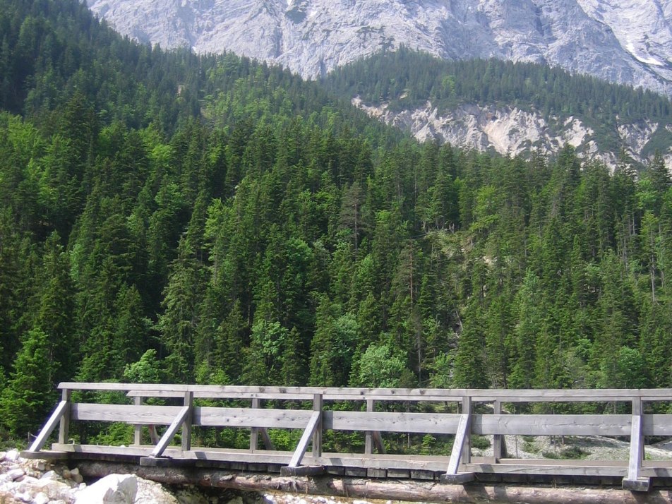 Hallerangeralm Hallerangeralm