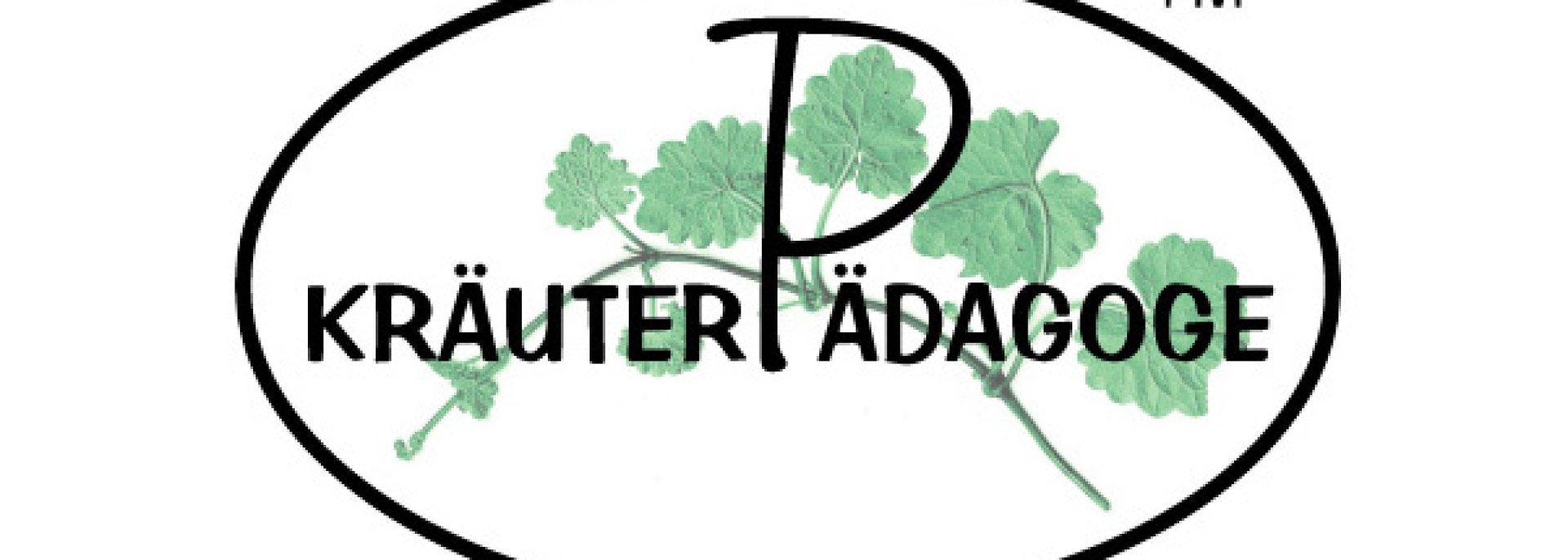 Kräuterpädagoge , © gundermannschule.com