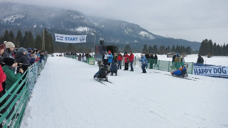 Letzte Vorbereitungen für den Start für Musher und Schlittenhunde, © dieStreunerin