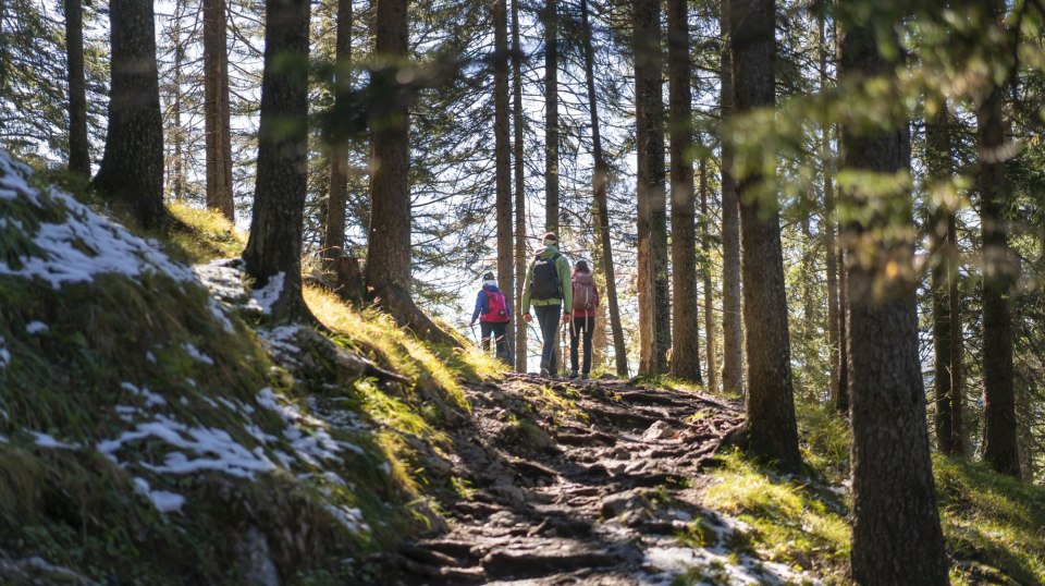 Whether forest trail, summit ridge or flat paths - in the Alpenwelt Karwendel there is something for every nature fan!, © Alpenwelt Karwendel | Dietmar Denger