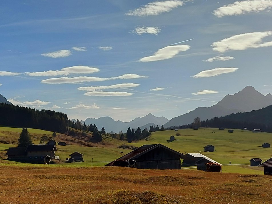 Unsere Buckelwiesen