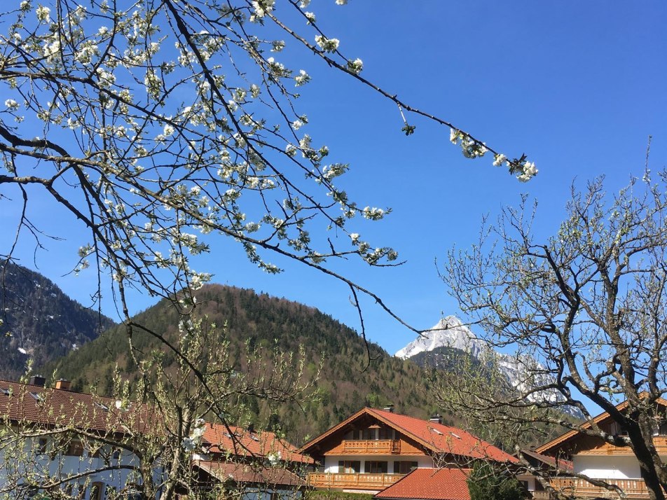 Im Frühling