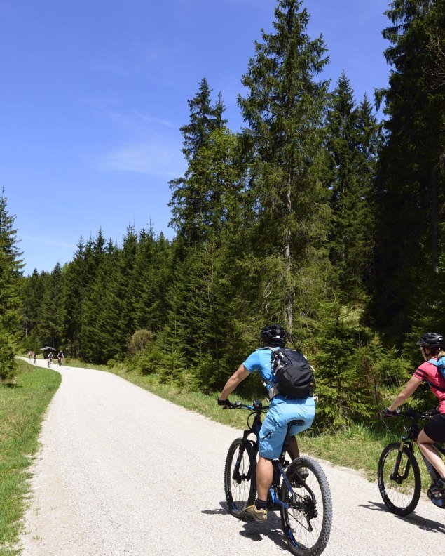 Mountainbiken in der Alpenwelt, © Alpenwelt Karwendel | Stefan Eisend