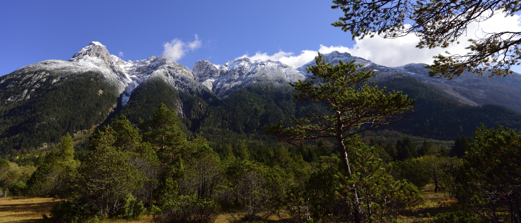 Mittenwald Riedboden, © Alpenwelt Karwendel | Stefan Eisend