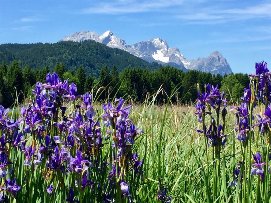 Natur pur Ferienhaus Tratz