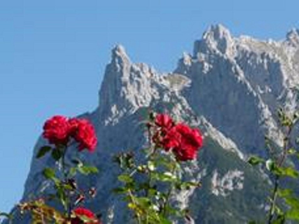 Ausblick auf Karwendel