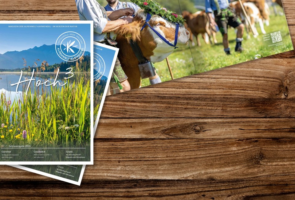 Cover Hoch³ Magazin 2026, © karlmeise Cover Hoch³ Magazin 2026, © karlmeise