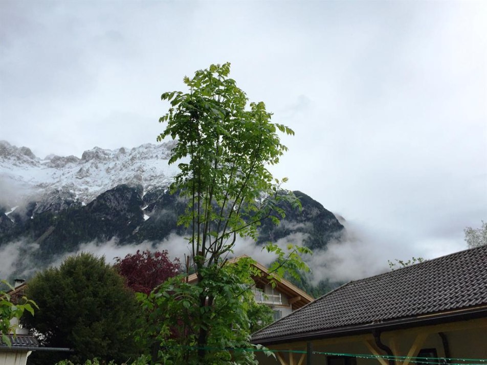 garten Karwendel Nebel full