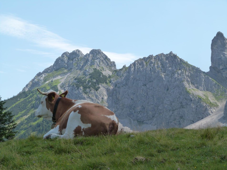 Urlaubskuh Urlaubskuh