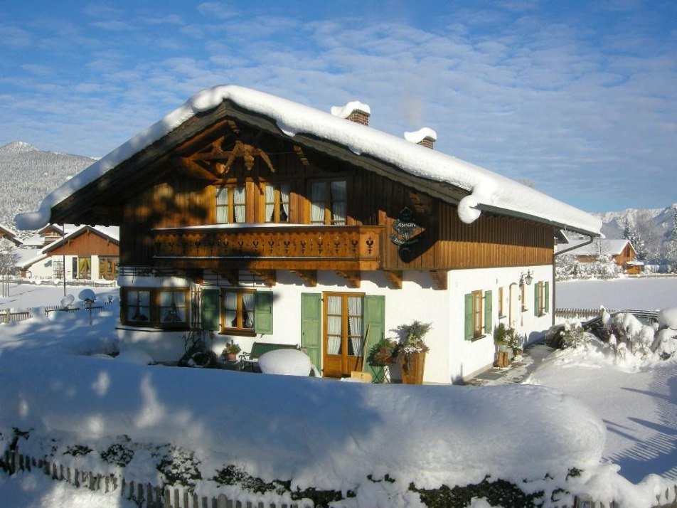 Alpenstern im Winter 1