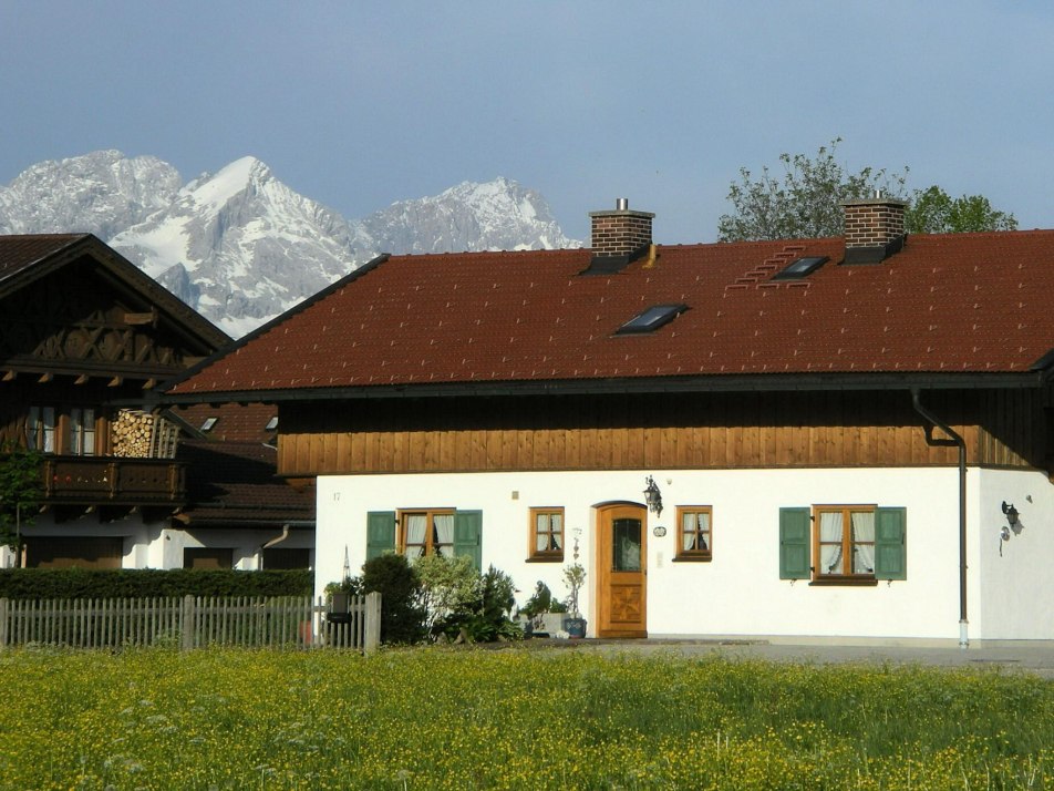 Alpenstern mit Zugspitze