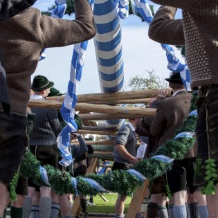 Alle 4 Jahre am 1. Mai wird in Mittenwald und Krün ein neuer Maibaum aufgestellt, © Alpenwelt Karwendel | Hubert Hornsteiner