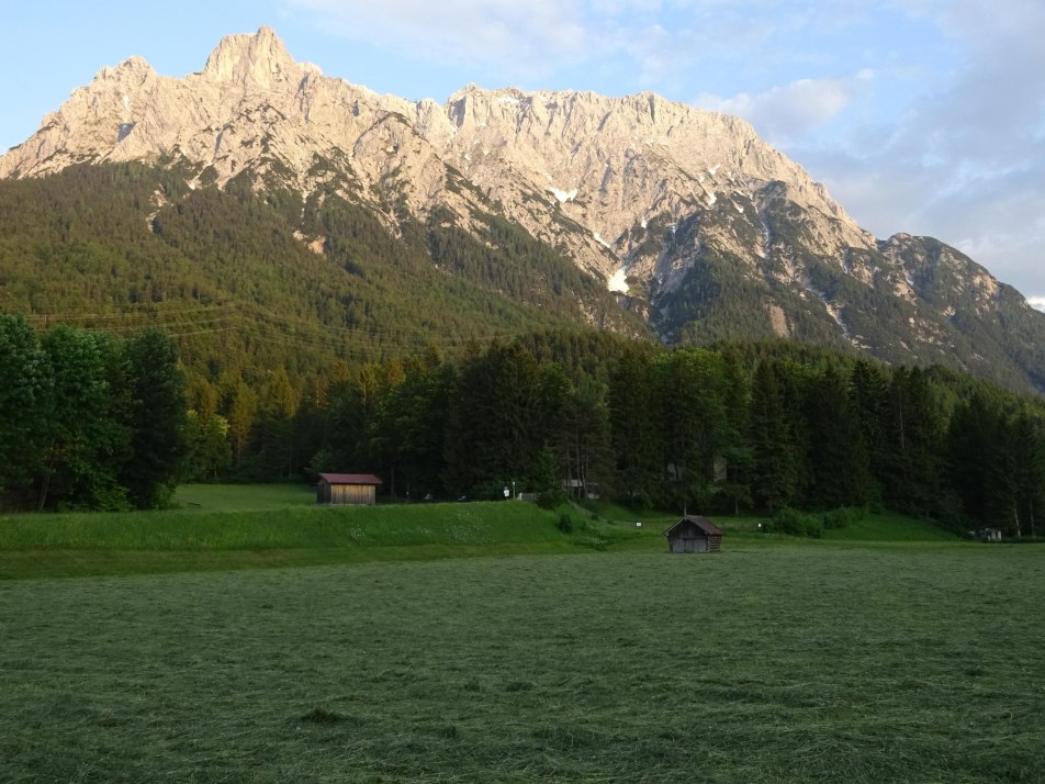 Wiese vor dem Haus