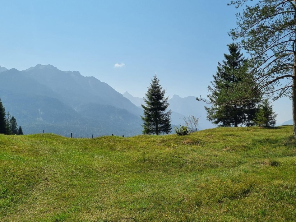 Buckelwiese mit Bergpanorama